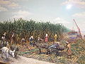 Sugar cane exhibit at Louisiana State Exhibit Museum IMG 3352.JPG