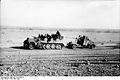 Bundesarchiv Bild 101I-783-0109-19, Nordafrika, Zugkraftwagen mit Flak.jpg